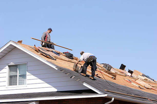 Best Roofing for New Construction  in Taos Pueblo, NM